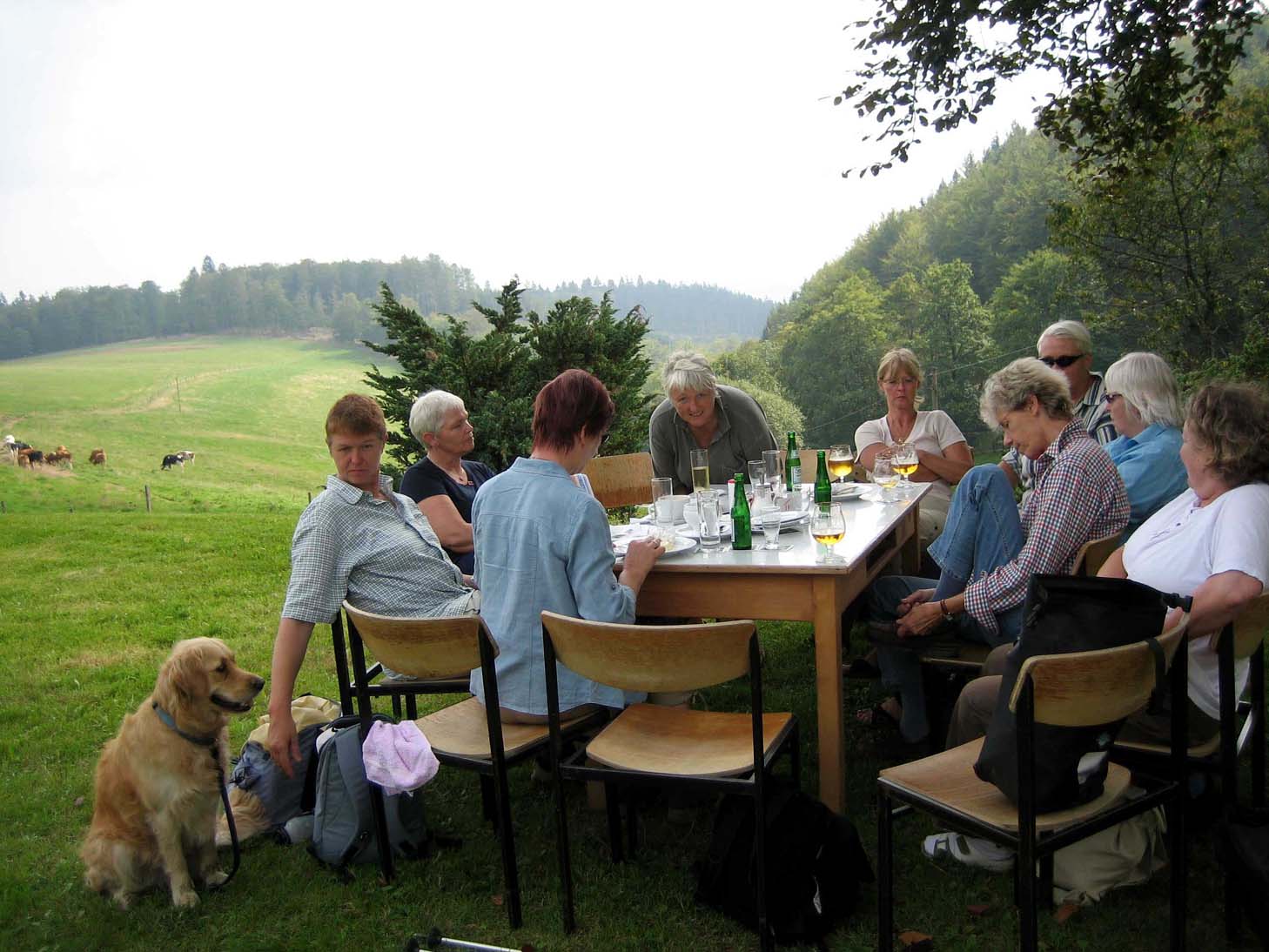 Kühhude in sonntäglicher Idylle!